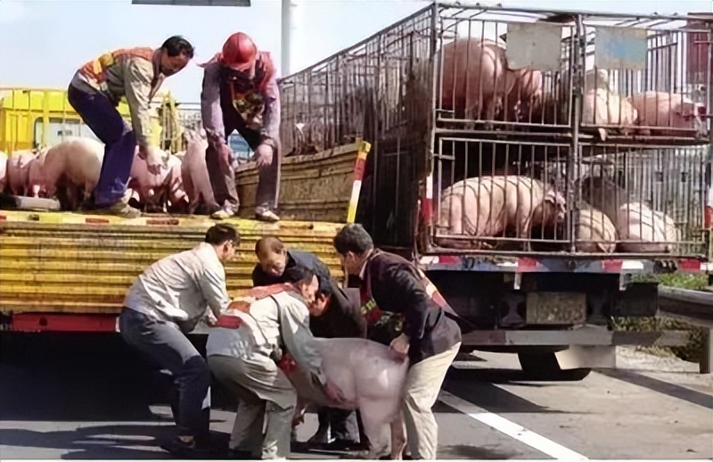 6417bc5fa09e7.jpg 微信圖片_20230320095147.jpg