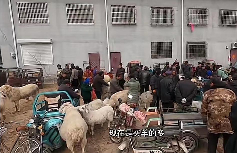 6417bd4ab8b53.jpg 微信圖片_20230320095550.jpg